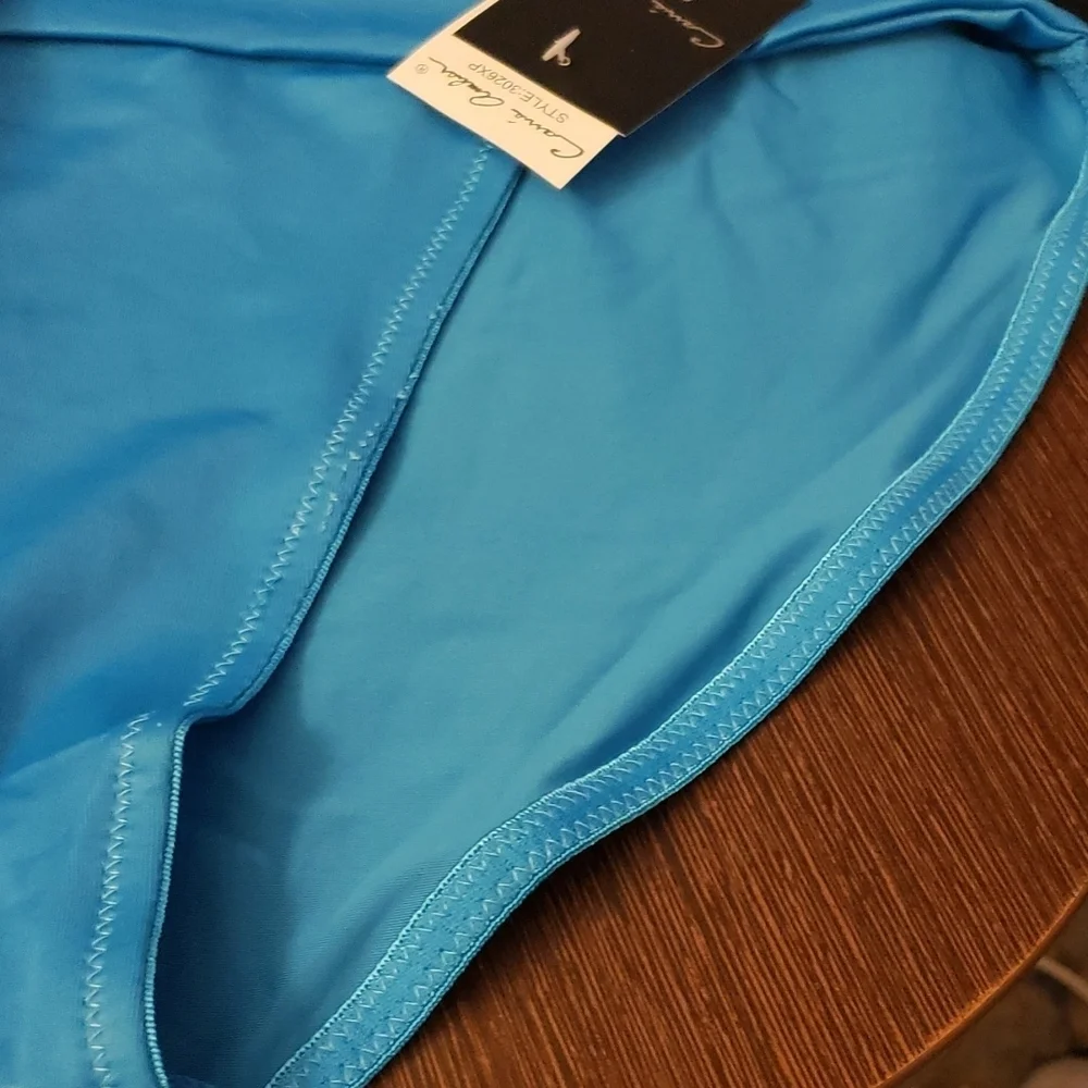 Carrie Amber Intimates High Cut Turquoise Panty Size 3XL (10) style 3026… - Picture 4 of 7